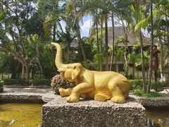 -西双版纳傣族园