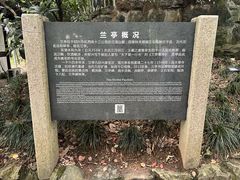 -兰亭风景区