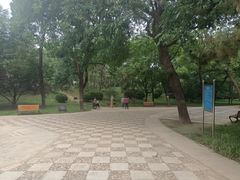 -元大都城垣遗址公园