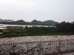 -立新湖公园