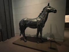 -中国农业博物馆