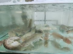 -雅逸居海鲜小厨