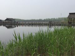 -溱湖国家湿地公园