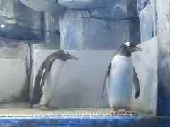 -苏州海洋馆