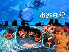 -烟台海昌鲸鲨海洋公园