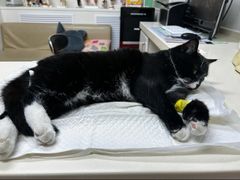-宠颐生中康贝怡动物医院