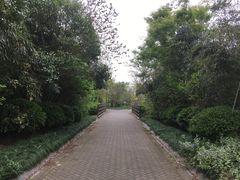 -上海海湾国家森林公园