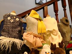 -多卡布奇宠物生活馆(上林世家店)