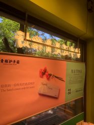 -青稚护手霜QINGZHI
