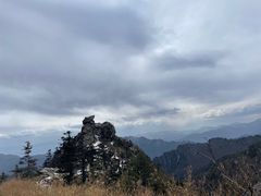 -朱雀国家森林公园