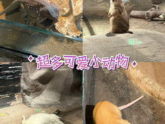 -厦门老院子景区