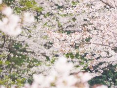 -苏州上方山国家森林公园
