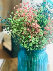 -海茱雅科技健康美容