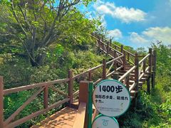 -大岭沟猕猴桃谷风景区