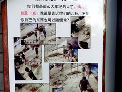 -挚友(东四二条)