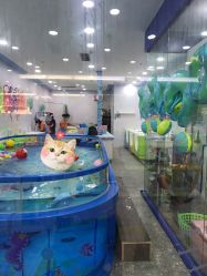 -爱儿乐婴儿游泳馆(华强北店)