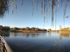 -大兴滨河森林公园