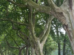 -宜兴龙背山森林公园