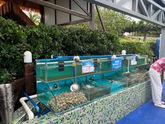 -渔家火锅·海鲜自助餐·演艺(亚龙湾天域酒店)