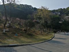 -广州市帽峰山景区
