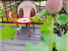 -印象泰和园(望丛西路店)