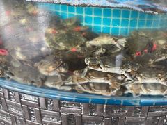 -蓝珊甄选海鲜自助·火锅大排档(近阿那亚店)