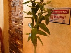 android_upload_pic-乾园风尚五大道