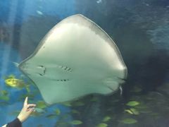 -福州罗源湾海洋世界旅游区