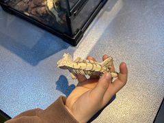 -上海昆虫博物馆