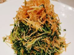巧拌豆苗-四季民福烤鸭店(故宫店)