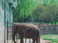 -西安秦岭野生动物园