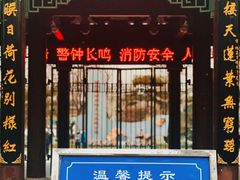 -莲湖公园