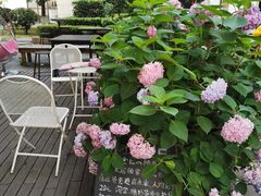 -灯塔咖啡馆BOOK·Coffee Shop