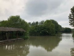 -溱湖国家湿地公园