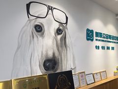 -美联众合动物医院·24h转诊中心