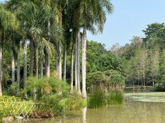 -中国科学院西双版纳热带植物园