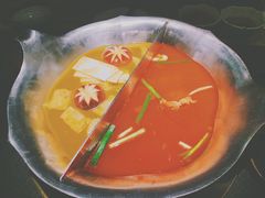 -湊湊火锅·茶憩(石家庄万象城店)