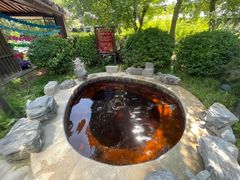 -中家鑫园温泉酒店鑫悦汤泉