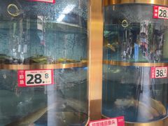 -蜀滋香鲜鱼美蛙火锅(339店)