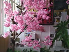 -恋羊时代黑山羊火锅(滨海大道店)