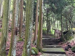 -大围山国家森林公园