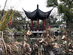 -杭州西湖柳莺里酒店·闻莺厅