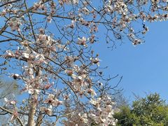 -白塘生态植物园