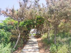 -养马岛旅游度假区