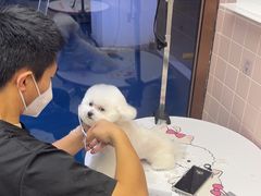 -FAELING PETS美天灵宠物(富力广场店)