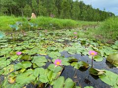 -露天矿生态公园