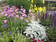 -上海植物园-4号门售票处