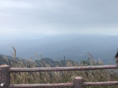 -大围山国家森林公园
