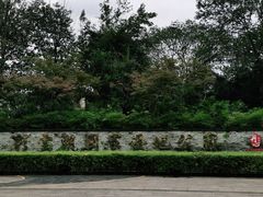 -重庆彩云湖湿地公园