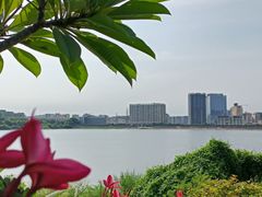 -立新湖公园